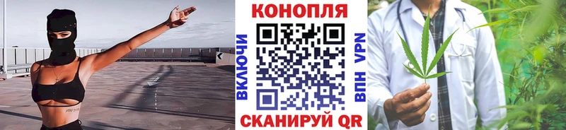 Где купить наркотики Любим Вейп ТГК МЕФ ОМГ ОМГ tor ГАШ Бошки Шишки Псилоцибиновые грибы