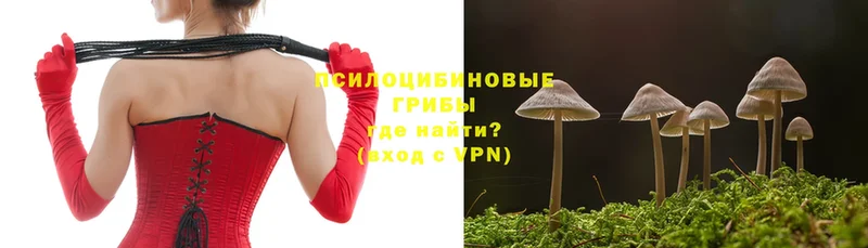 гидра сайт  Любим  Галлюциногенные грибы Cubensis 