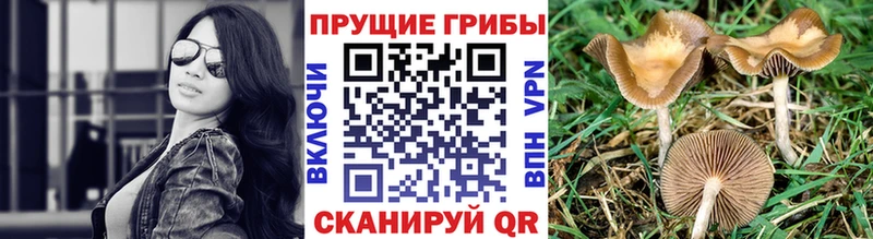 Галлюциногенные грибы ЛСД  Любим 